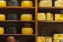 El Senasa verifica la elaboración de queso para un consumo seguro