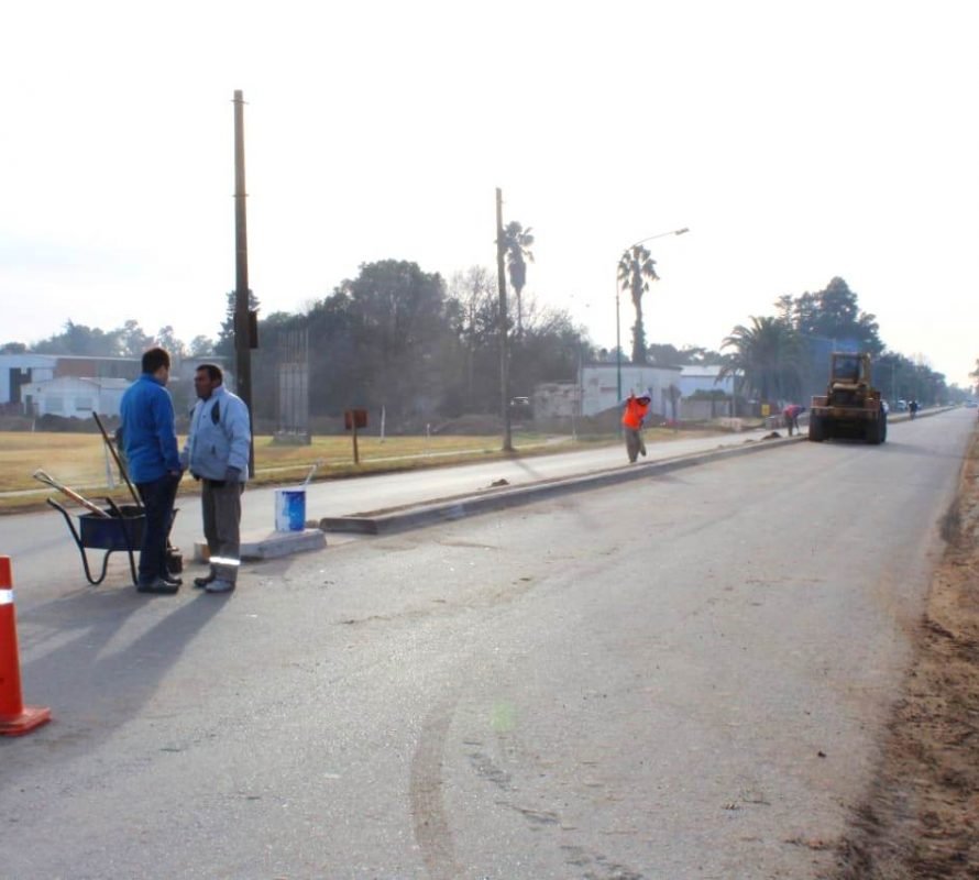 Informe Municipal: Limpieza y Pintura en Avenida 16