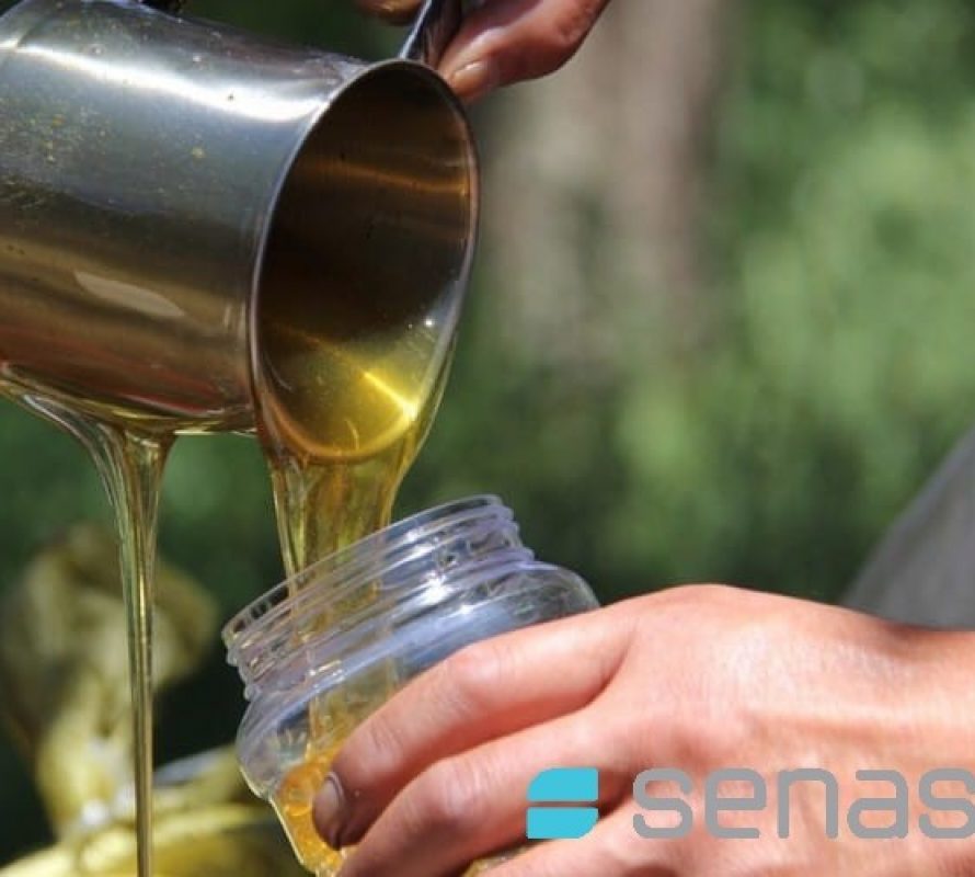 Alimentos saludables: Miel la perfecta fusión de endulzante natural y salud