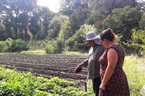 Eximición de aranceles del Senasa para productores de la Agricultura Familiar