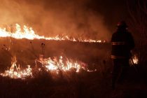 Incendio de pastizales en la zona de El Talar