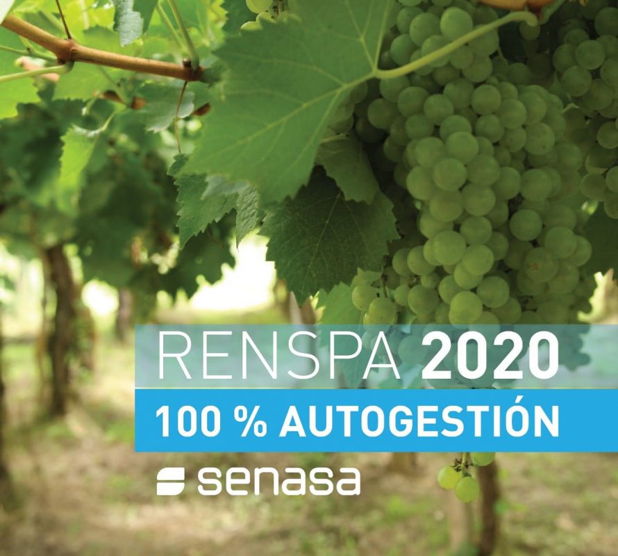 Realizá las gestiones para tu #RENSPA 100% online