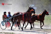 Buena jornada de Trote en el Hipódromo