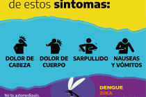 Dengue: Campaña municipal contra la chatarra en desuso