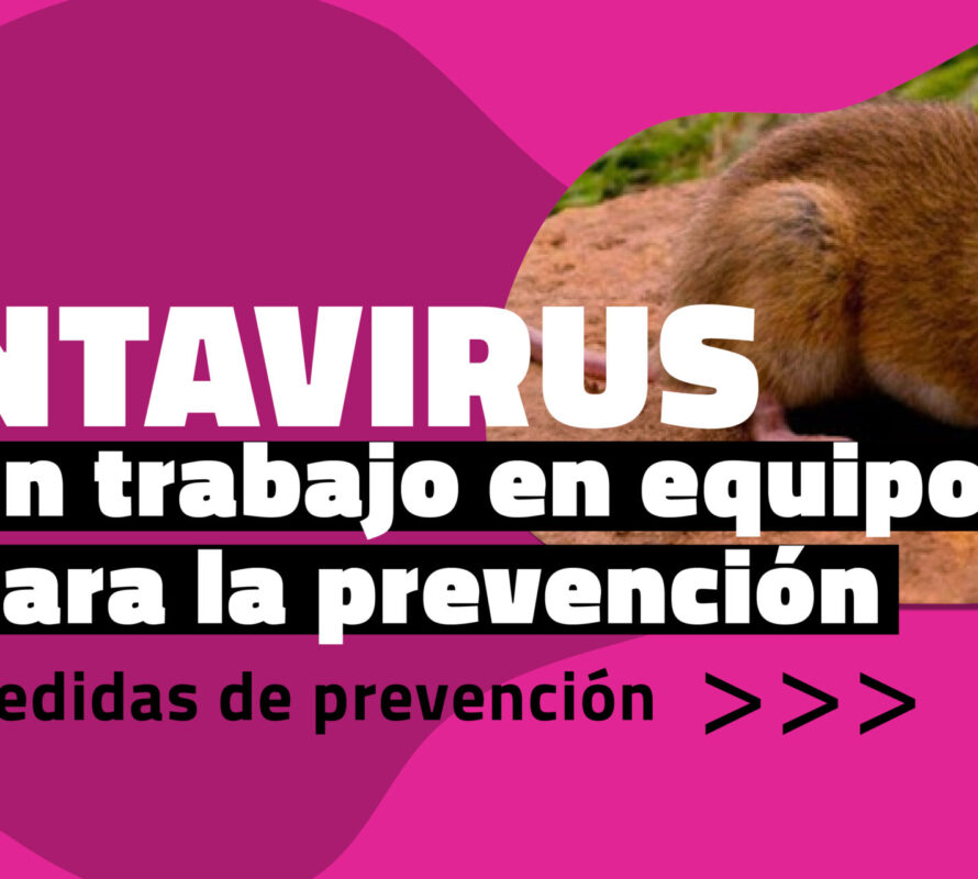 CVPBA | Hantavirus: un trabajo en equipo para la prevención