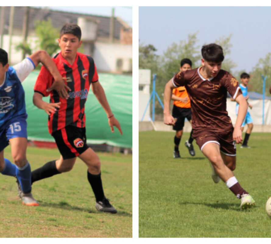 Resultados de las Copas Infanto Juveniles, Liga Lobense