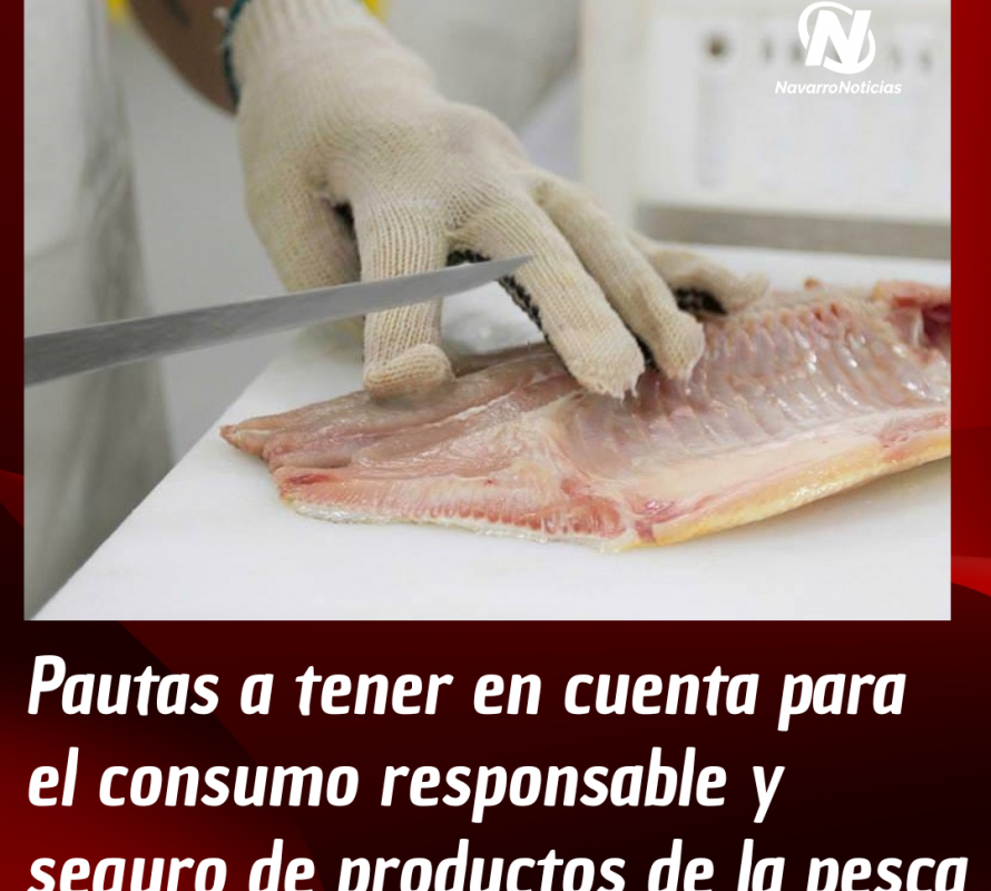 Pautas a tener en cuenta para el consumo responsable y seguro de productos de la pesca