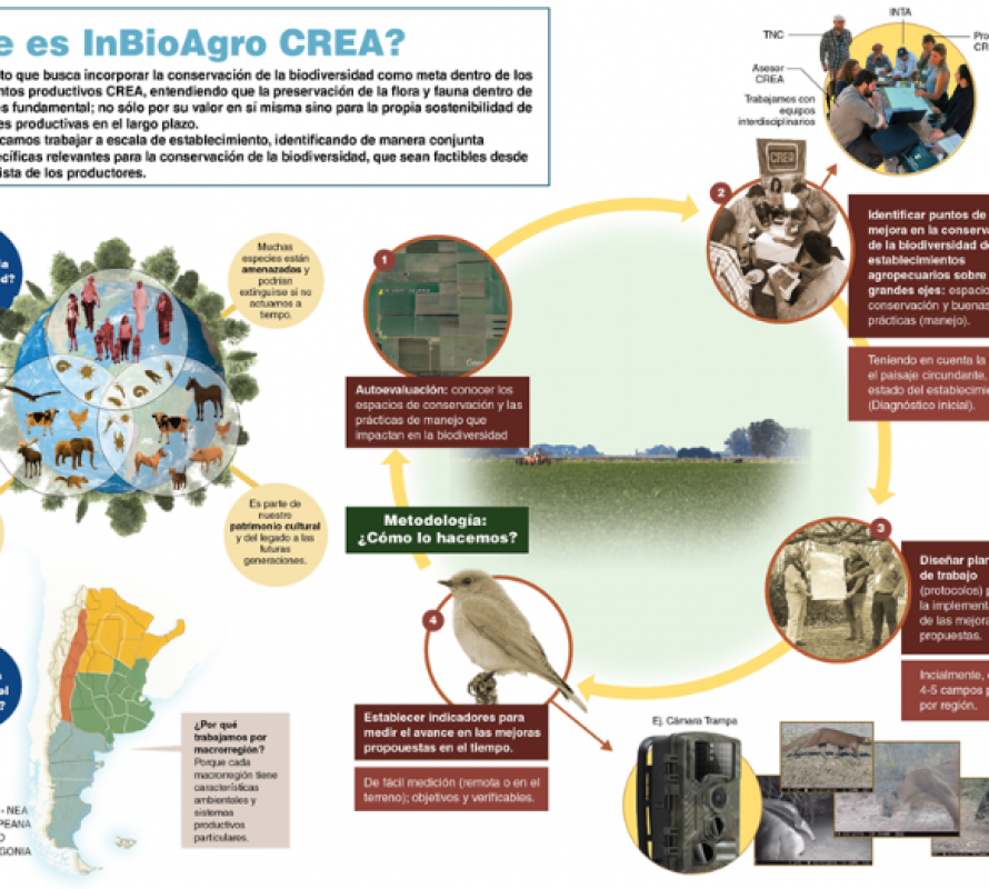 Monitoreos de biodiversidad para la mejora de la gestión ambiental en establecimientos CREA