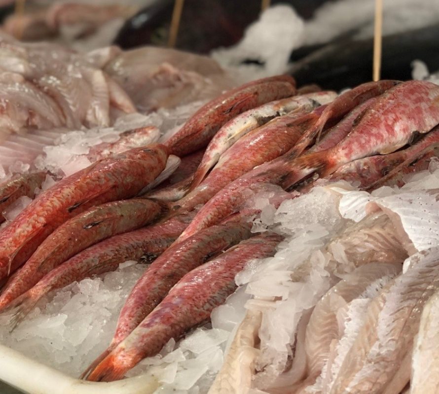 Recomendaciones para el consumo seguro de productos de la pesca en Semana Santa