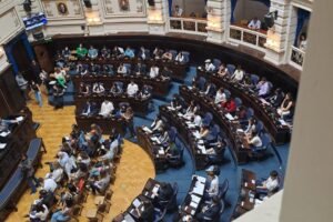 Cecilia Barilari rwpresentó a Navarro en el Parlamento Juvenil Provincial